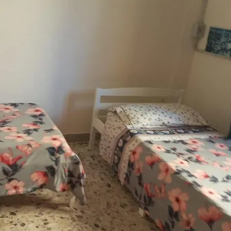 Apartamento Flat In Centro